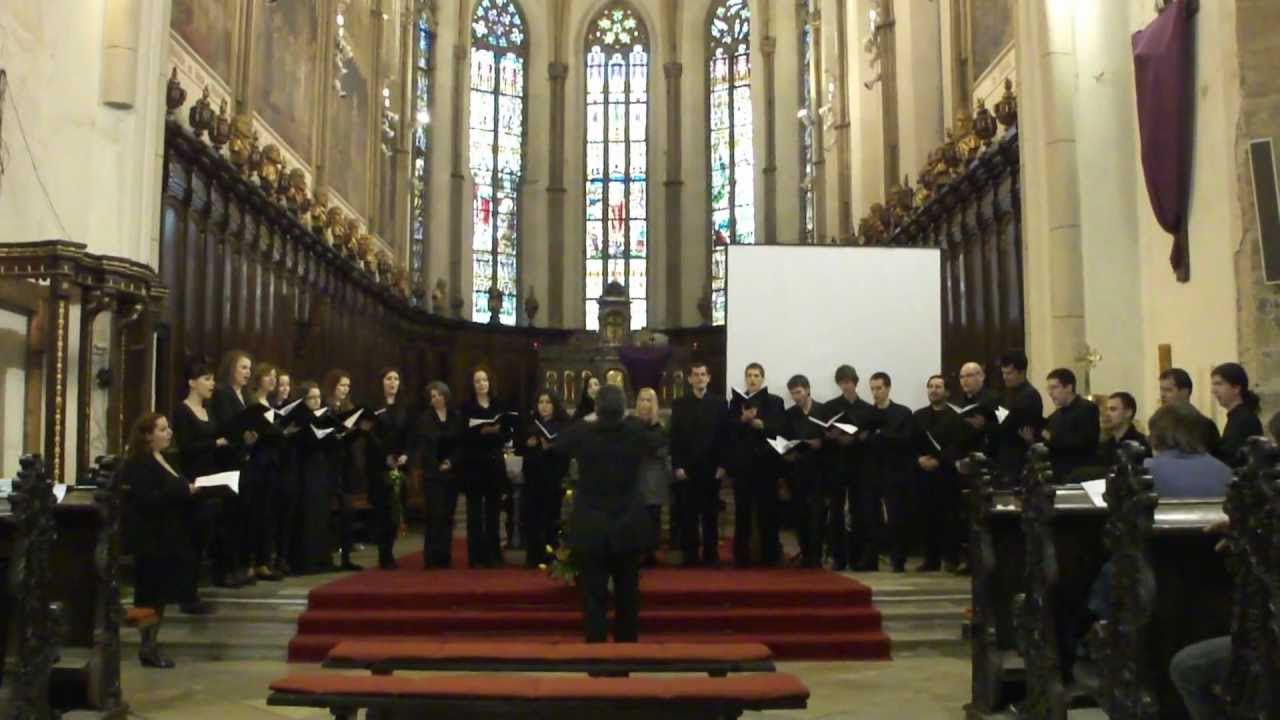 Tirnavia - Beati quorum via ( Stanford )