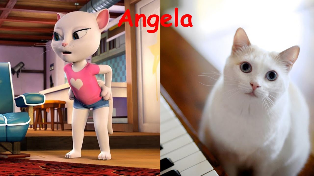 TALKING TOM AND FRIENDS IN REAL LIFE
