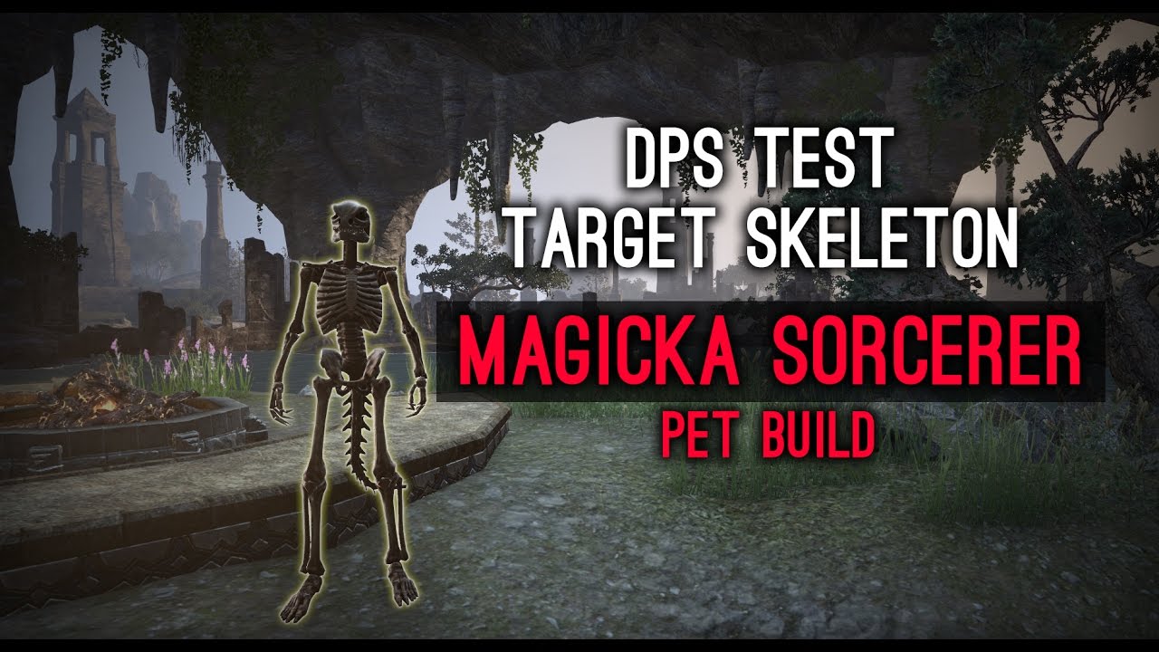 DPS Test Magicka Pet Sorcerer Target Skeleton - Homestead