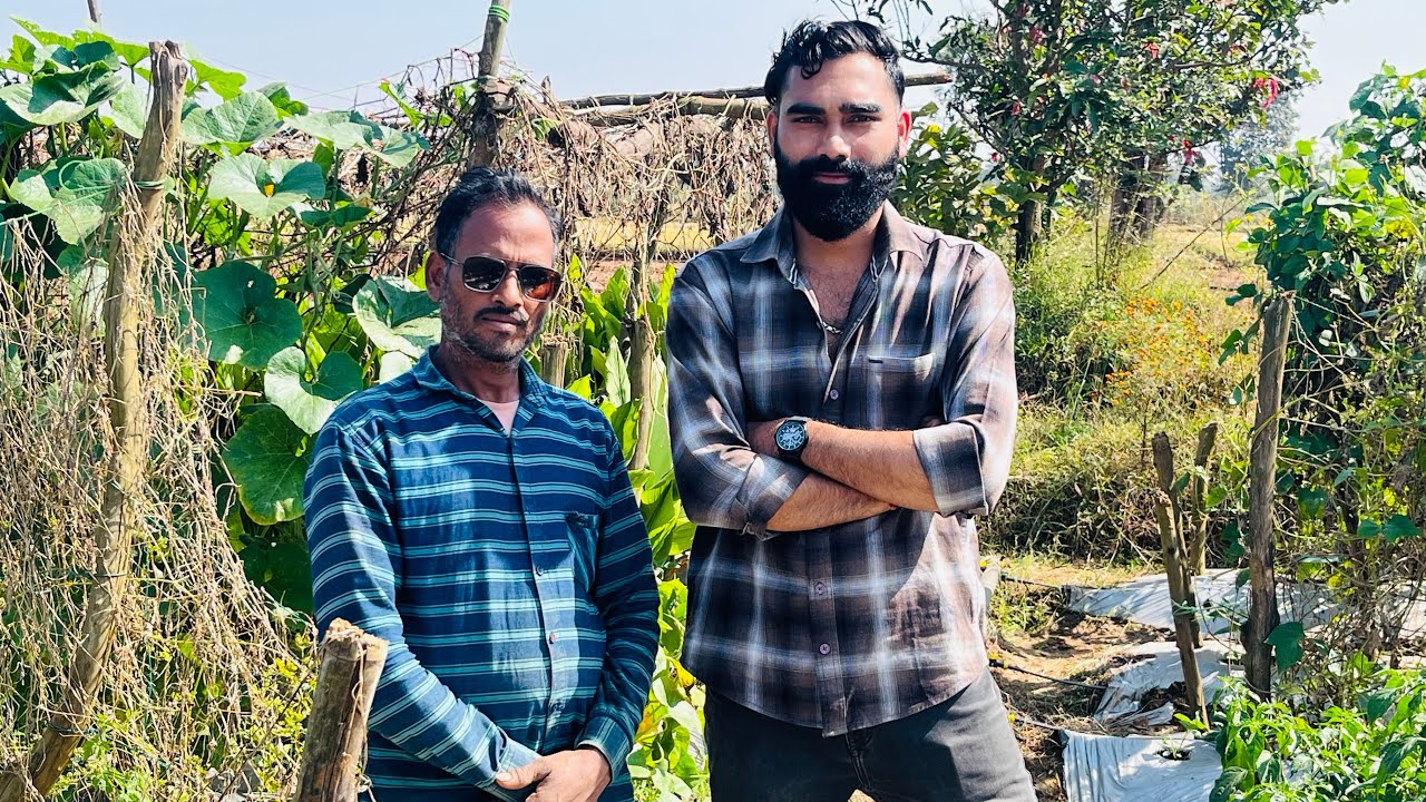 3 एकड़ या 30 डिसमिल || जैविक खेती मैं कितना पैसा ||.           #organic #organicfarming #kissan 
