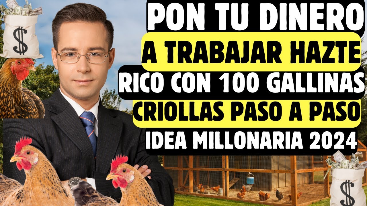 DE POBRE A RICO COMO INCIAR UNA GRANJA DE 100 GALLINAS CRIOLLAS CON POCO DINERO PASO A PASO