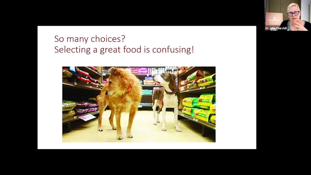 Dr. Julie Churchill on nutrition and pets - VMC Animal Health Education Series