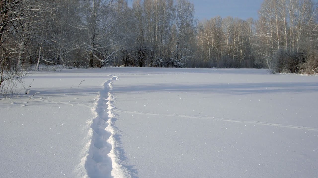 Горнолыжный склон в Томском Академгородке в 1995 году