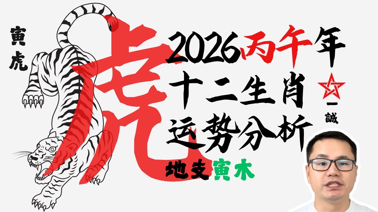 丙午年生肖属【虎】运势大揭秘！寅午半合？| 2026马年生肖运程系列