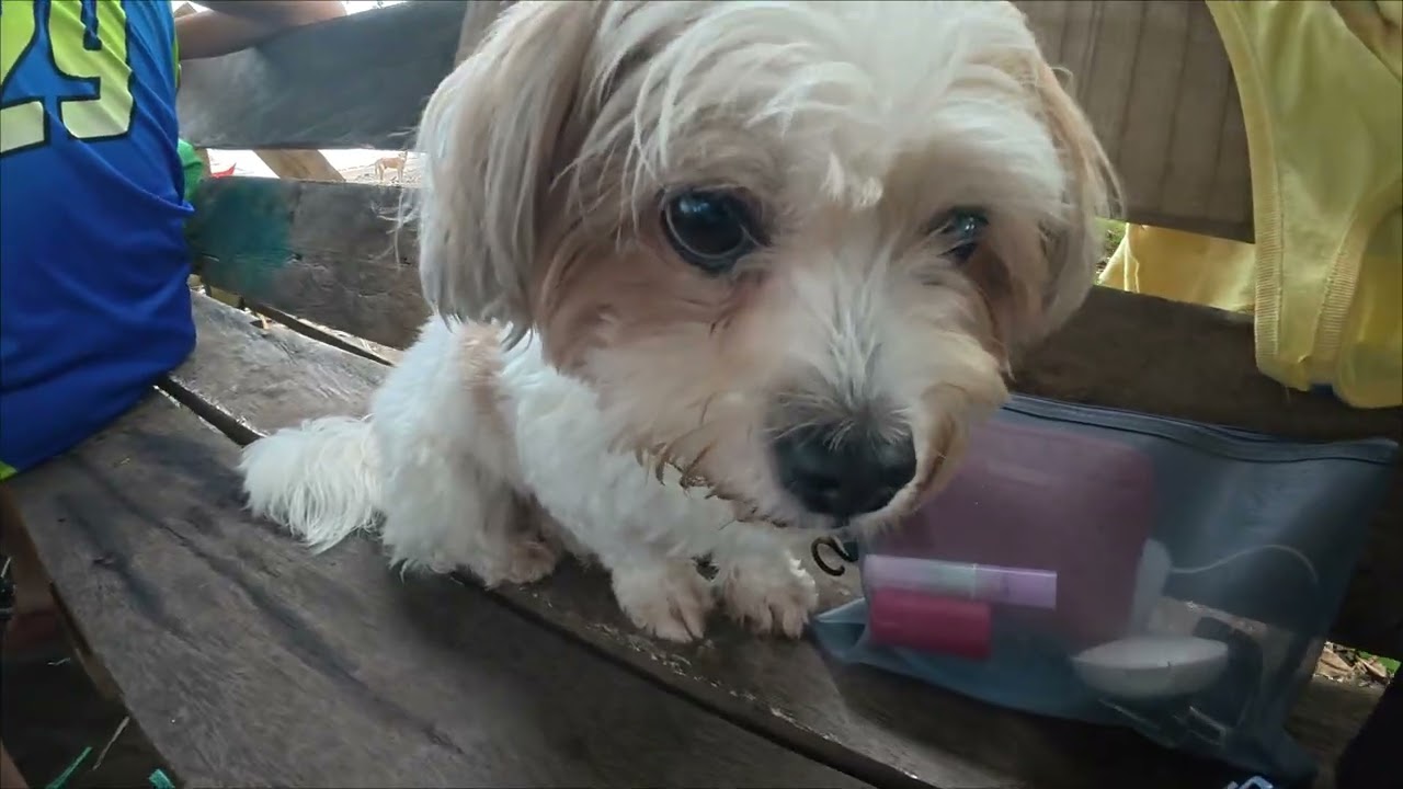 Family Beach Day Out 2026