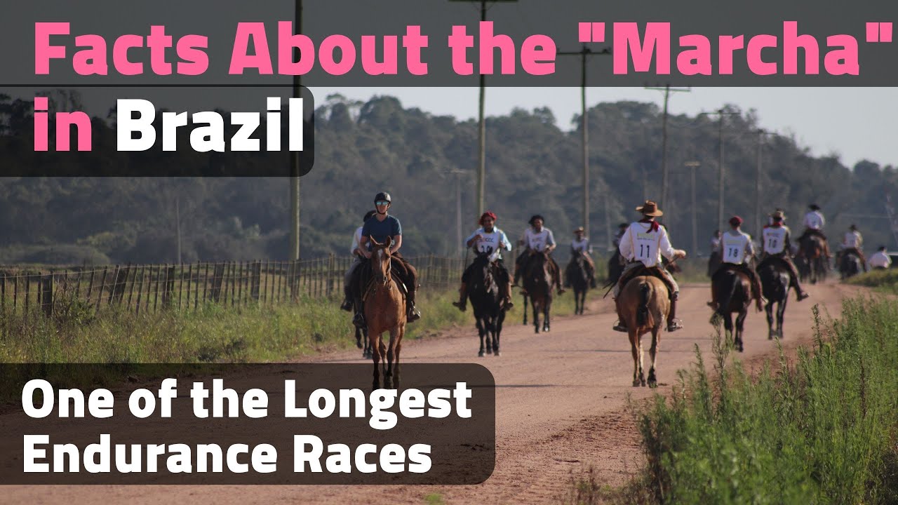 750 km on Horseback in Brazil - Facts about One of the Longest Endurance Horse Races in the World
