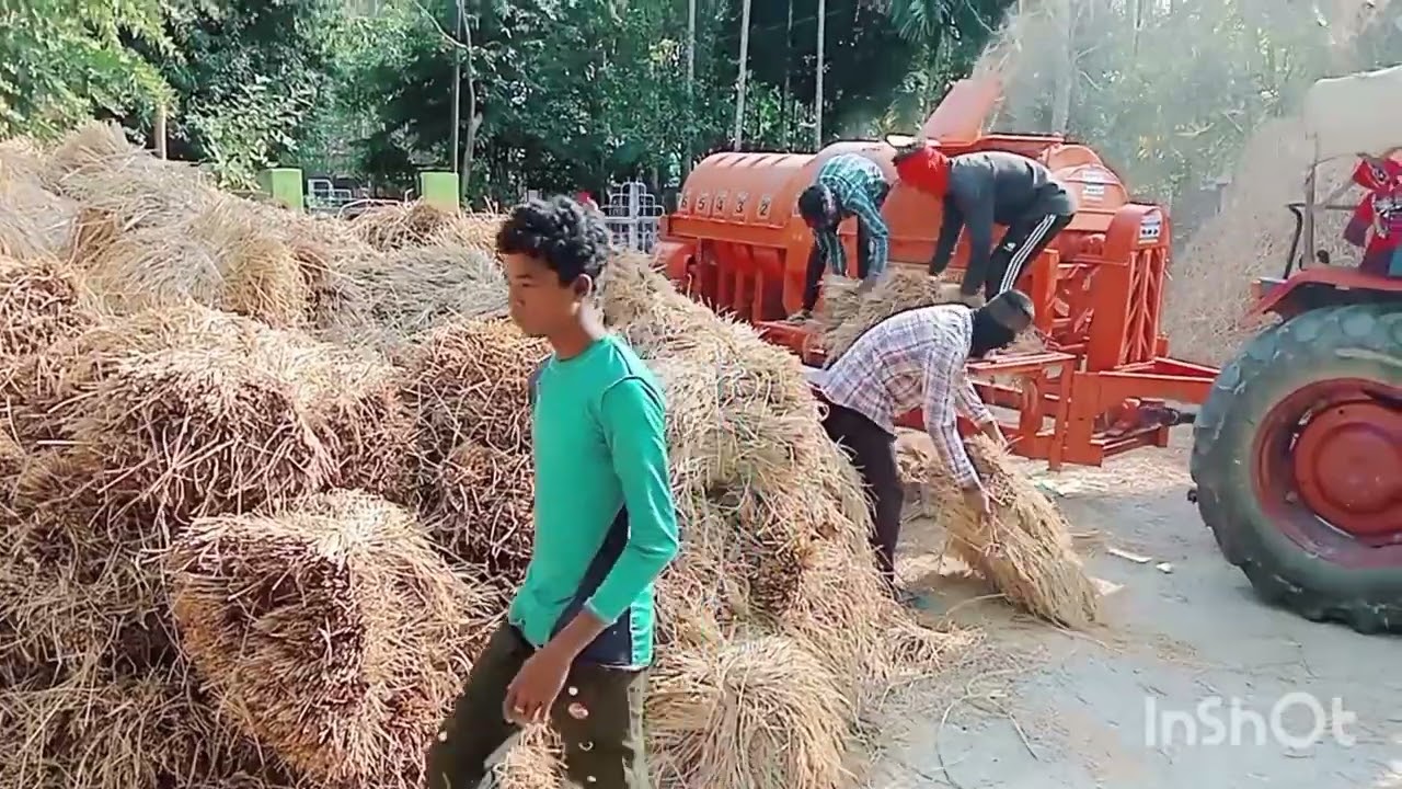 সকলোৱে মিলিজুলি বছৰৰ খেতিটো সামৰিলো।