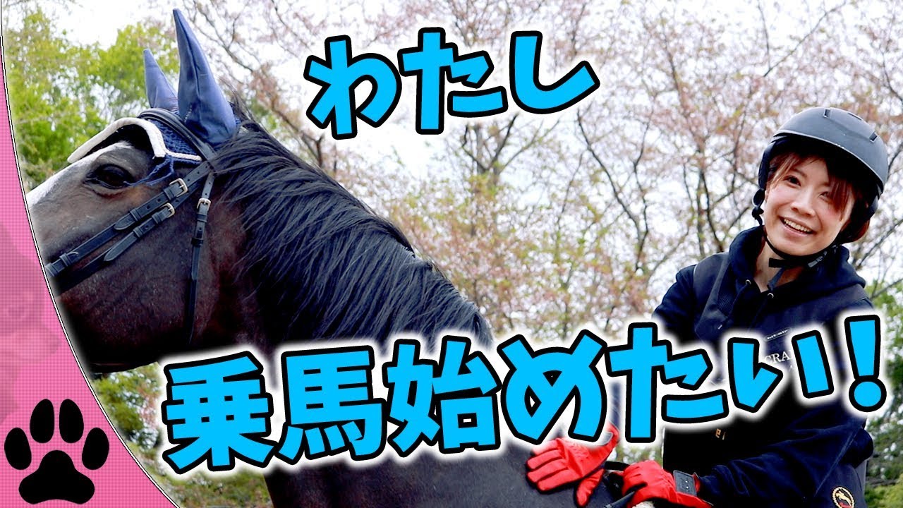 【女でも乗馬！】ライセンス取得を視野に入れて、乗馬体験をしてきました！