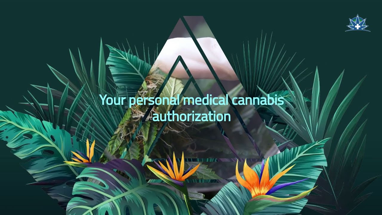 Ready to grow your own? | MediKush Inc.