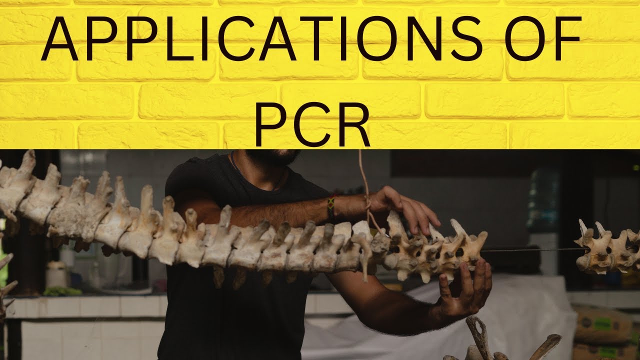 Applications of PCR