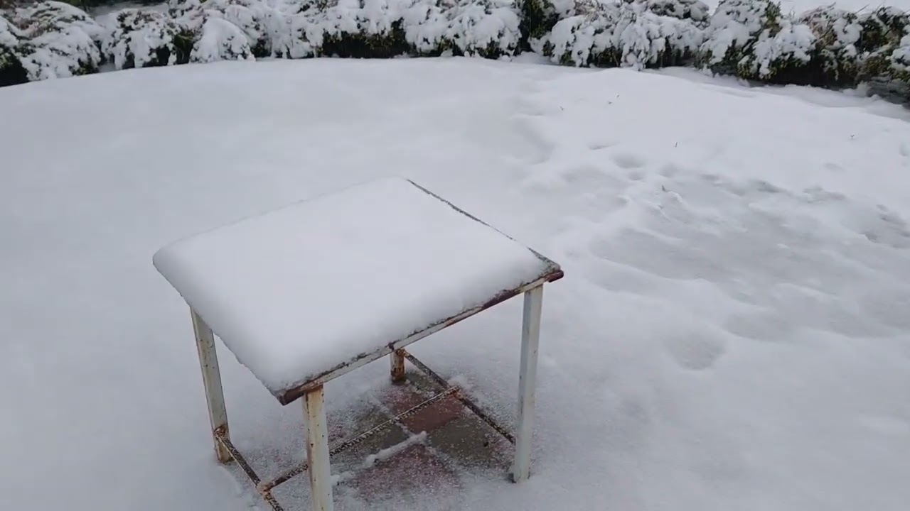 BAHÇEMİZ BEYAZA BÜRÜNDÜ 