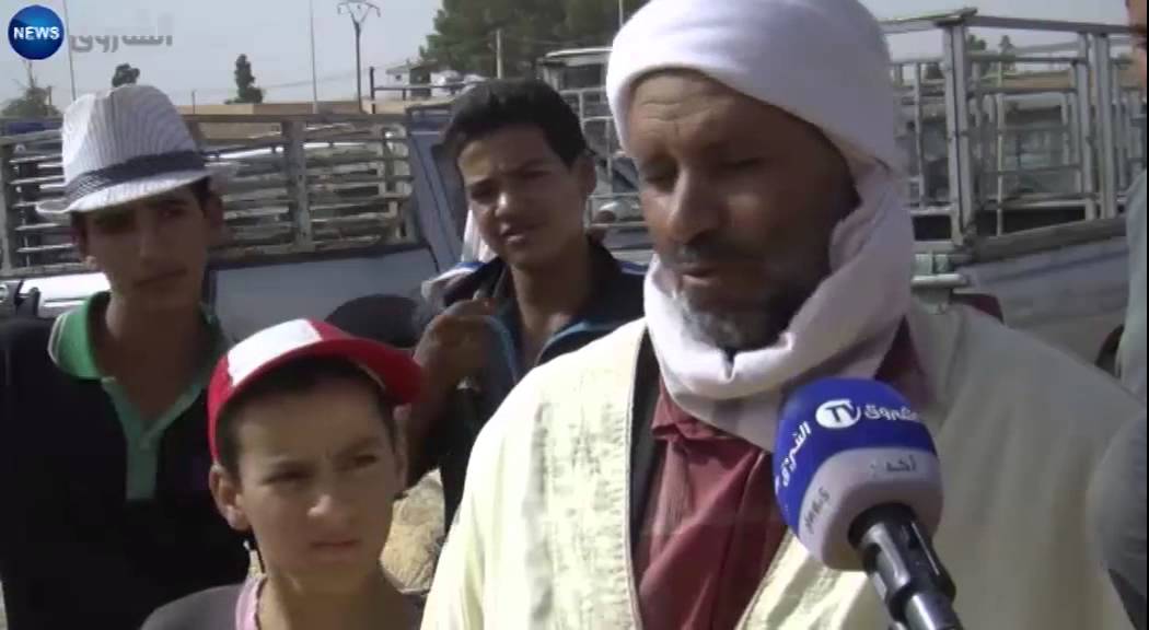 الاغواط: أسعار المواشي تلتهب مع اقتراب عيد الاضحى