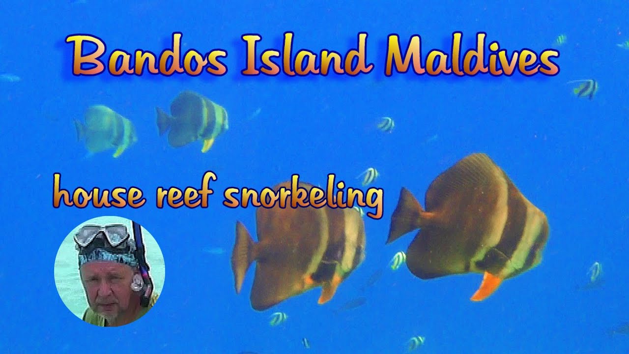 Snorkel Bandos Maldives