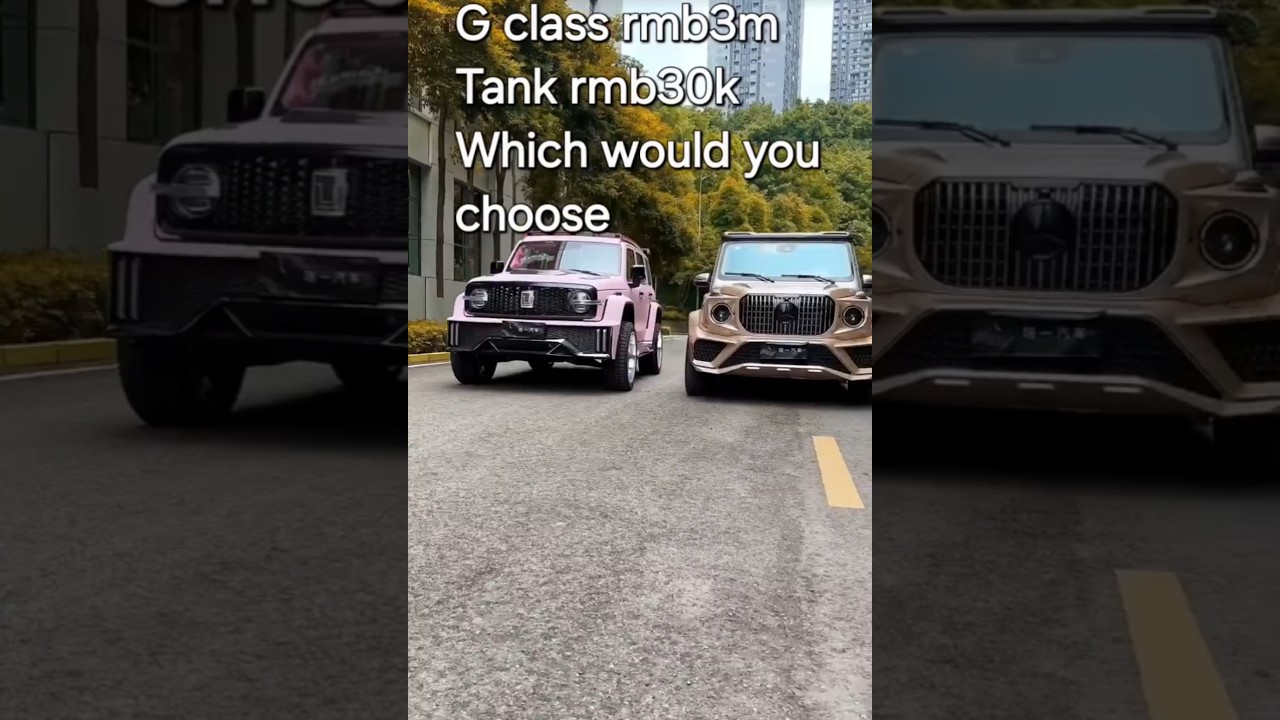 Mercedes G class vs Tank 300