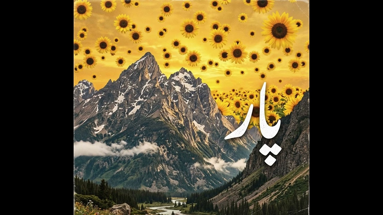 PAAR - Muhammad Musa ft. Bilawal Khan [OFFICIAL VISUALIZER]