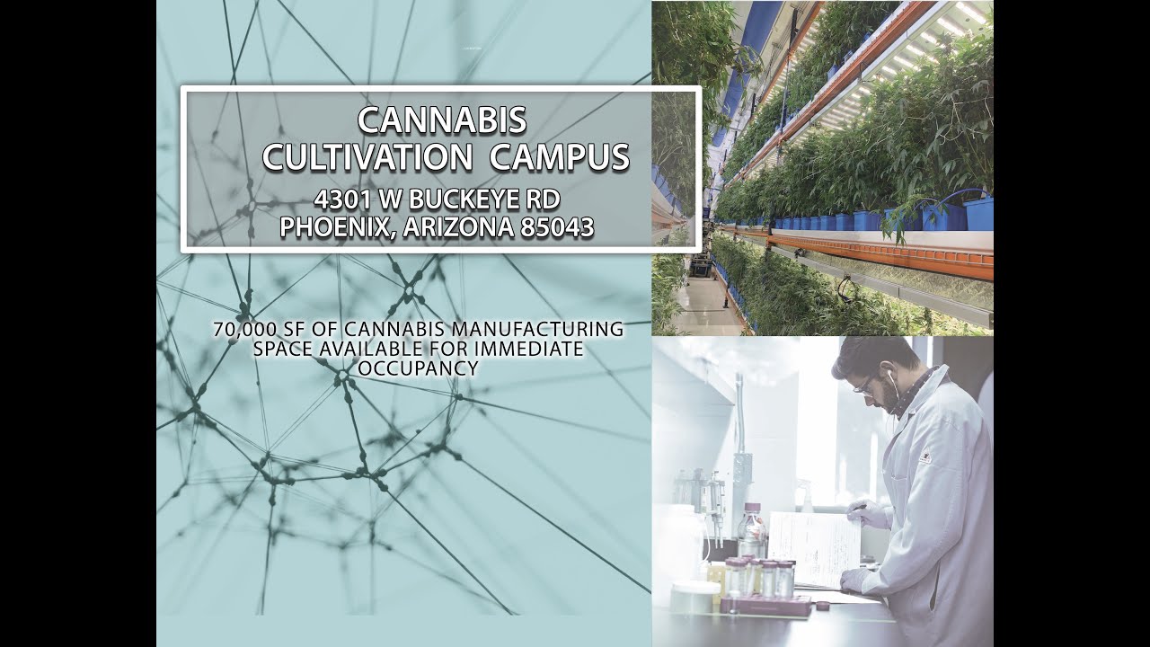 MSCP: 70,000 SF Cannabis Manufacturing Space Available