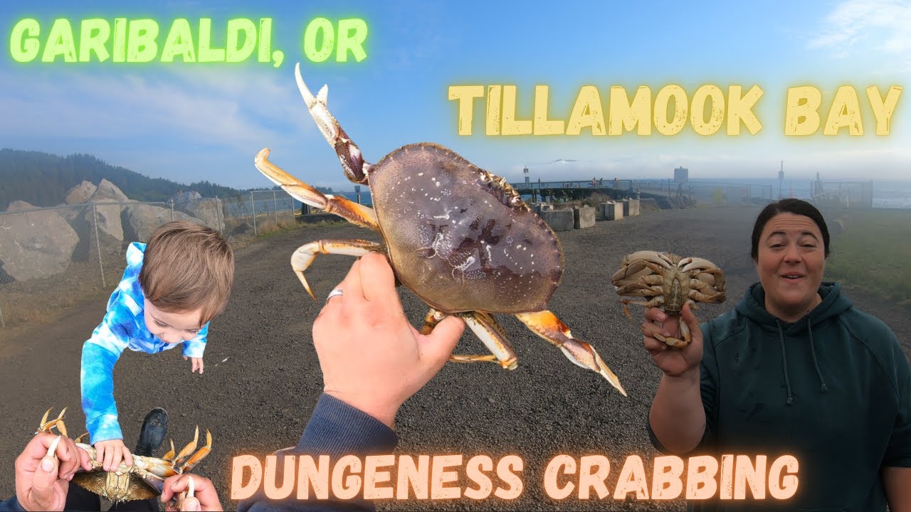 Dungeness Crabbing Tillamook Bay in Garibaldi, OR I 15 KEEPERS off Dock! I Family Crabbing Trip