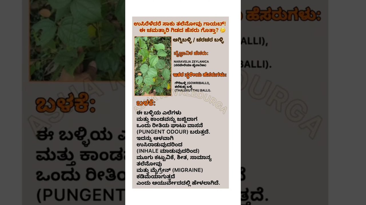 KAVALEDURGA(ಕವಲೇದುರ್ಗ) is live