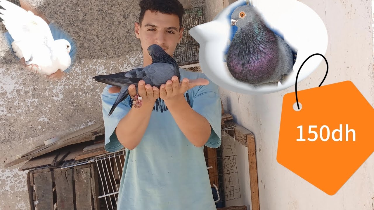 كنبيع حمامي كامل😱وبتمان خيالي فمدينت فاس#فاس