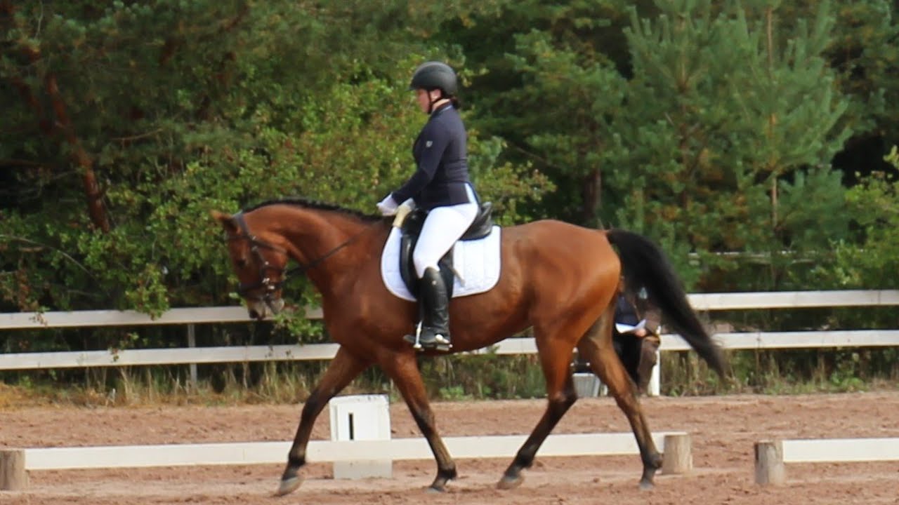 Helppo B, K.N. - SPECIAL 2022 Derwan 13.9.2025