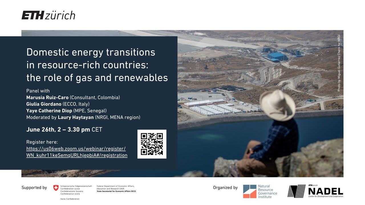 Domestic Energy Transitions in Resource-Rich Countries: The Role of Gas and Renewables