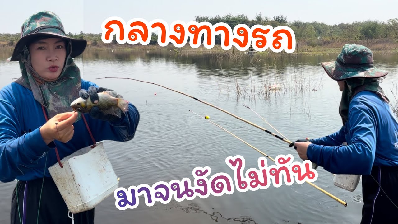 #ตกปลาคันไม้ไผ่ มากันเป็นฝูง ไม่ต้องไปไหน อยู่ที่เดิมล้วนๆ