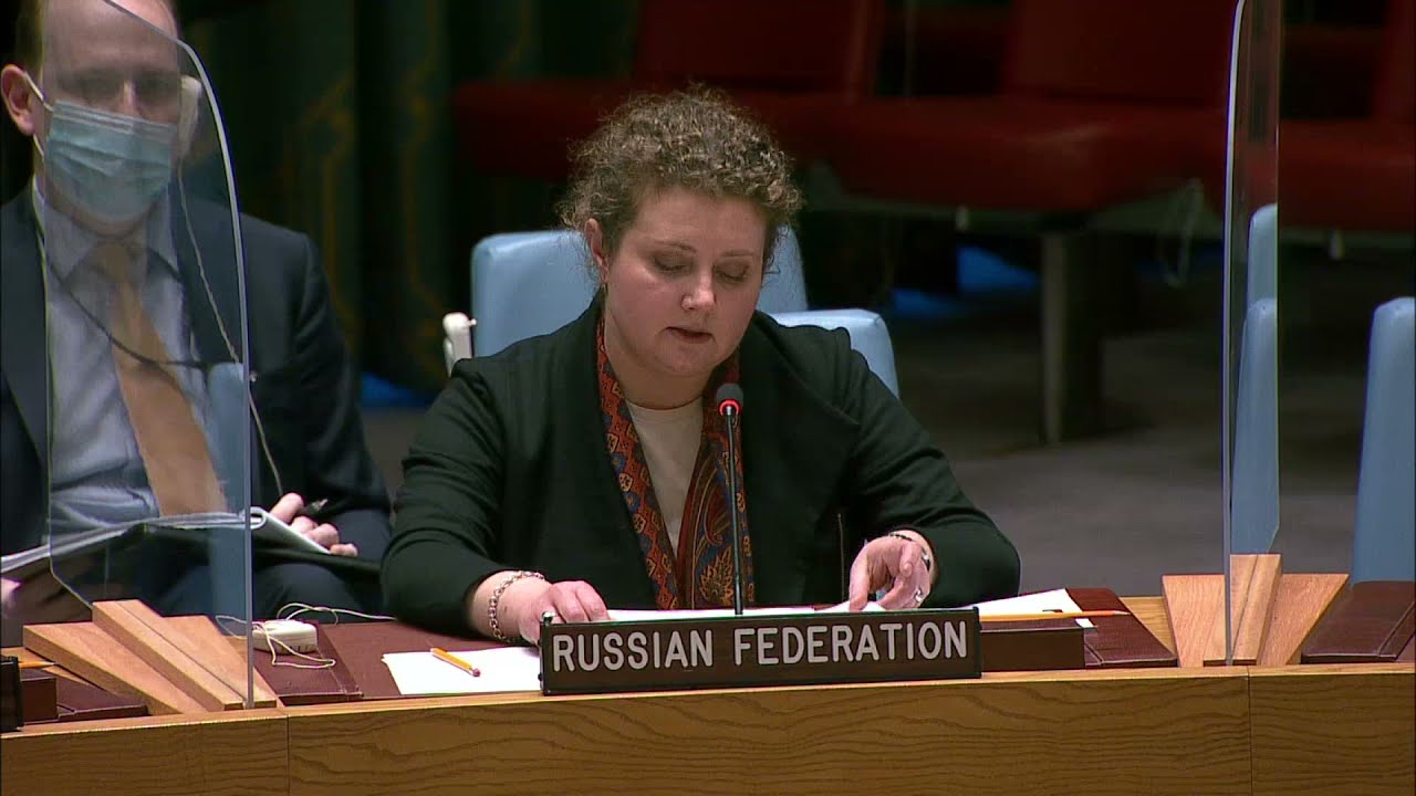 Statement by Deputy Permanent Representative Anna Evstigneeva at UNSC briefing on Central Africa