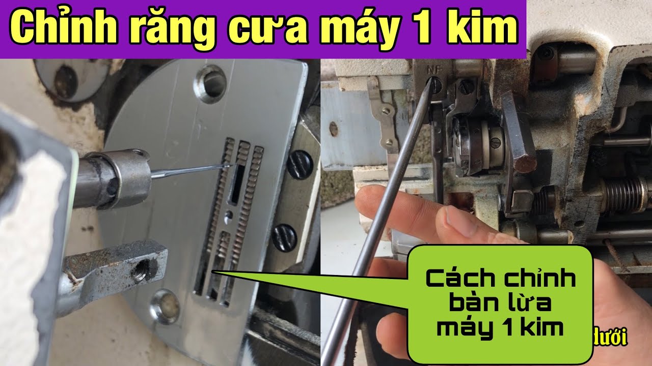 cách chỉnh răng cưa, bàn lừa máy may 1 kim |Quynh máy may