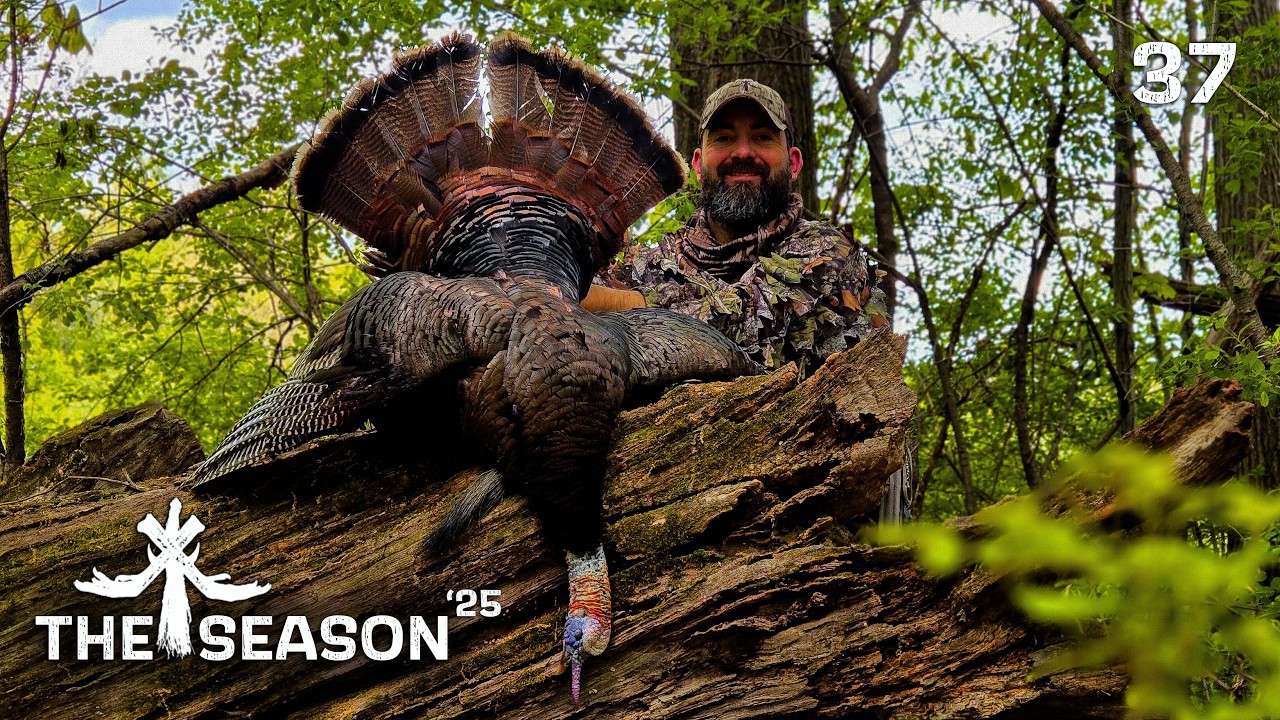 LONELY MIDDAY GOBBLERS - USING LOCAL KNOWLEDGE TO YOUR ADVANTAGE