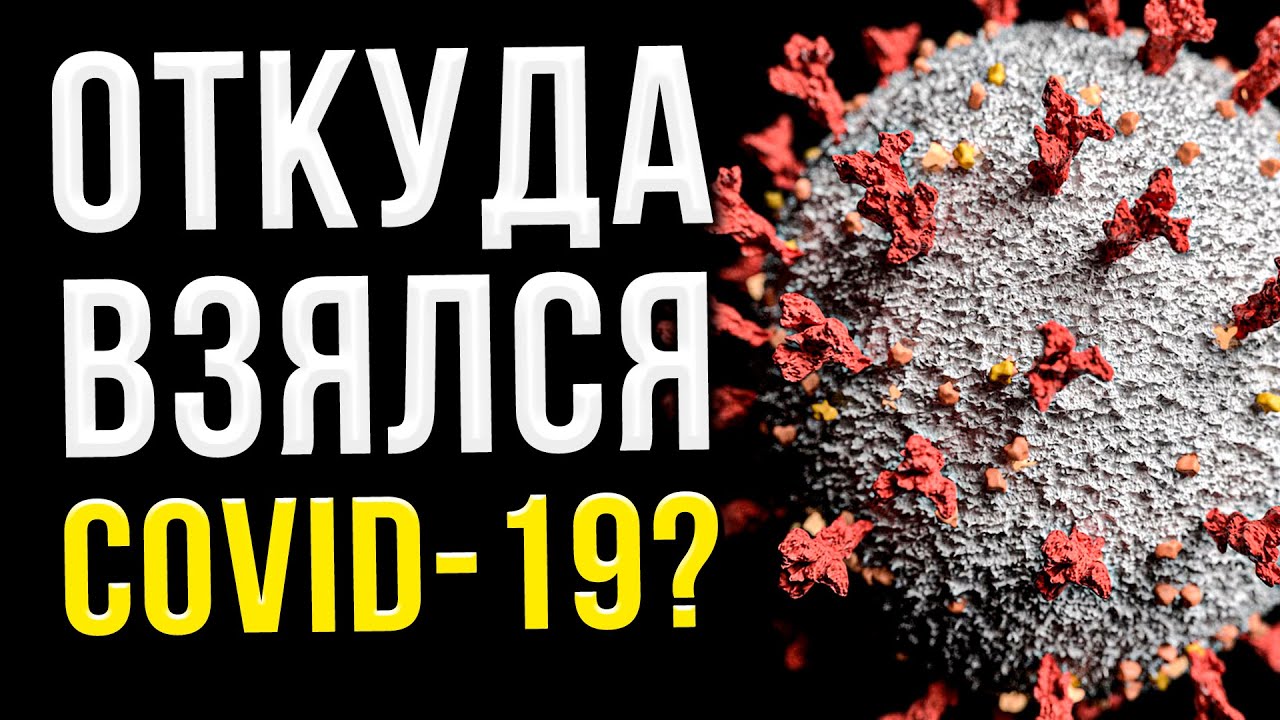 КРАТКАЯ ИСТОРИЯ COVID-19 / Как появился ковид? Какие бывают штаммы? Как коронавирус попал в Россию?