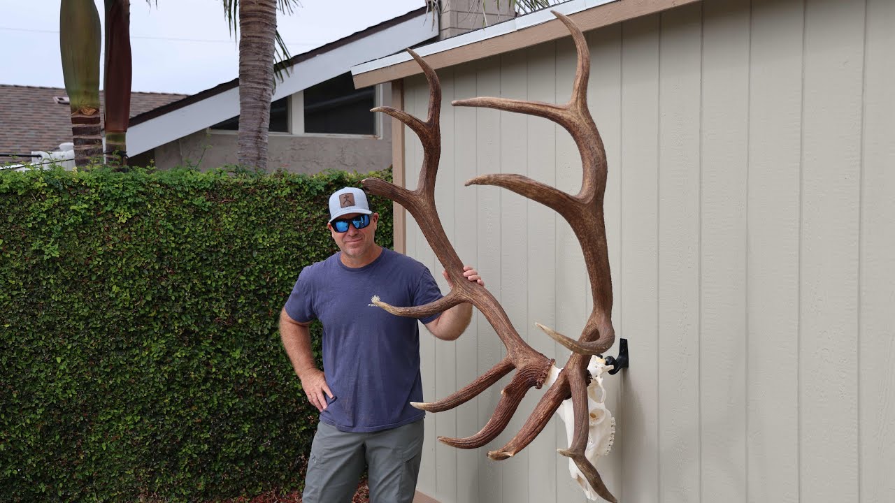 STRONGEST SKULL HANGER YET 