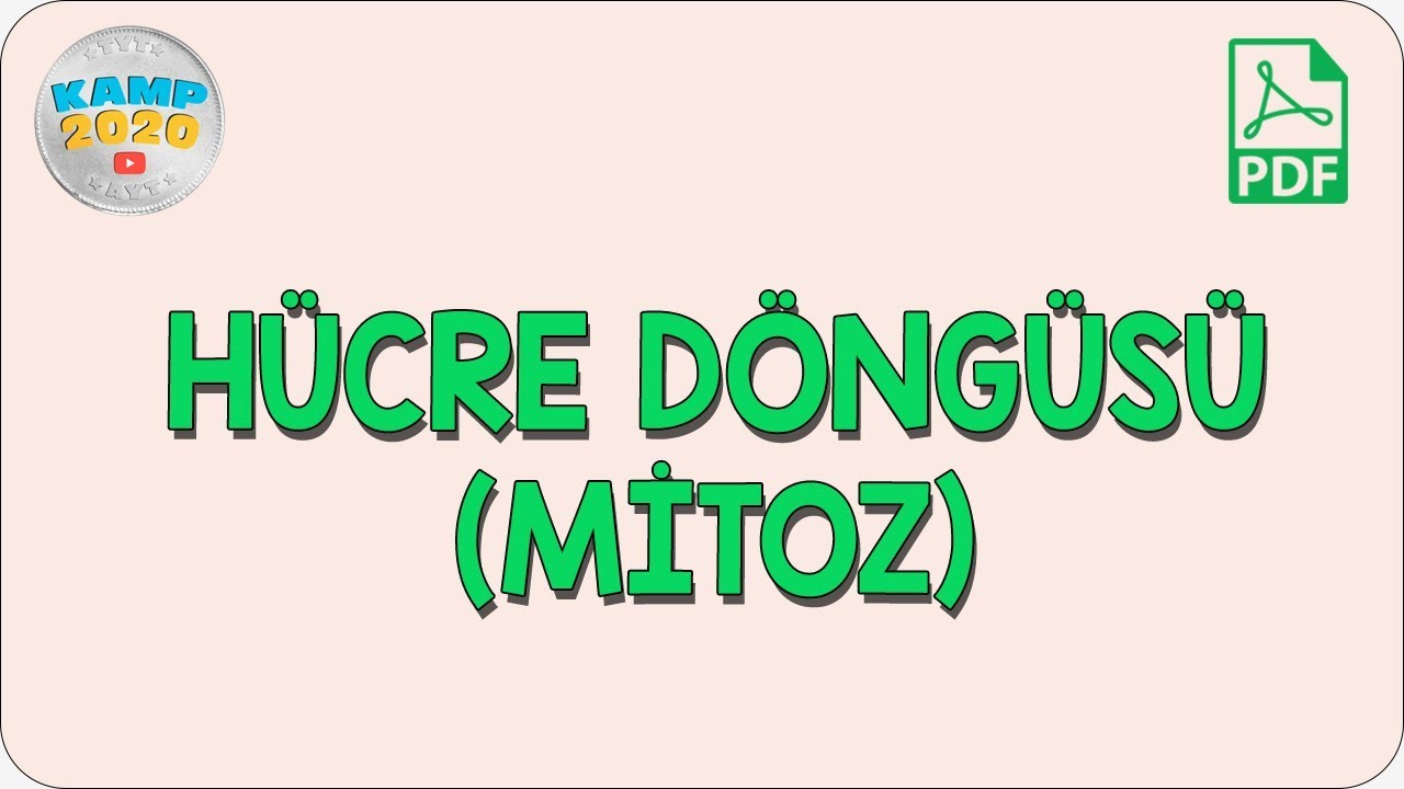 Hücre Döngüsü (Mitoz) | Kamp2020