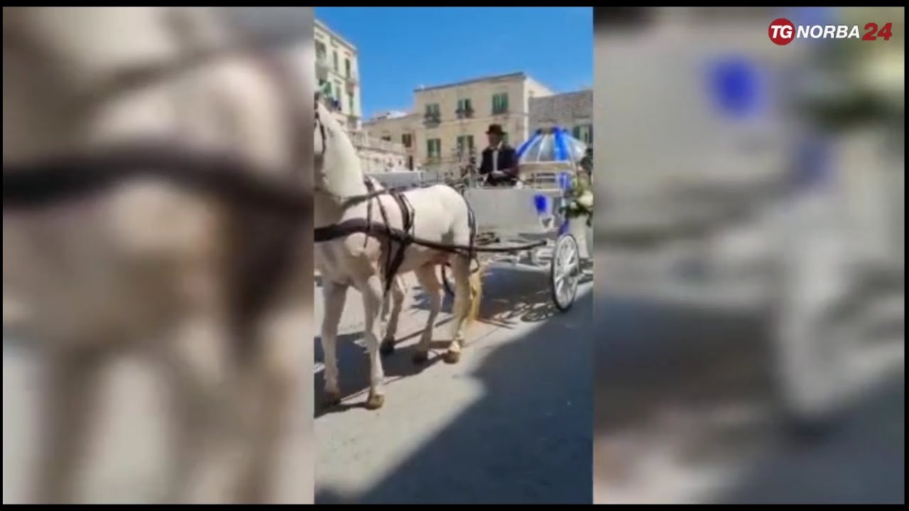 Molfetta, il matrimonio in carrozza