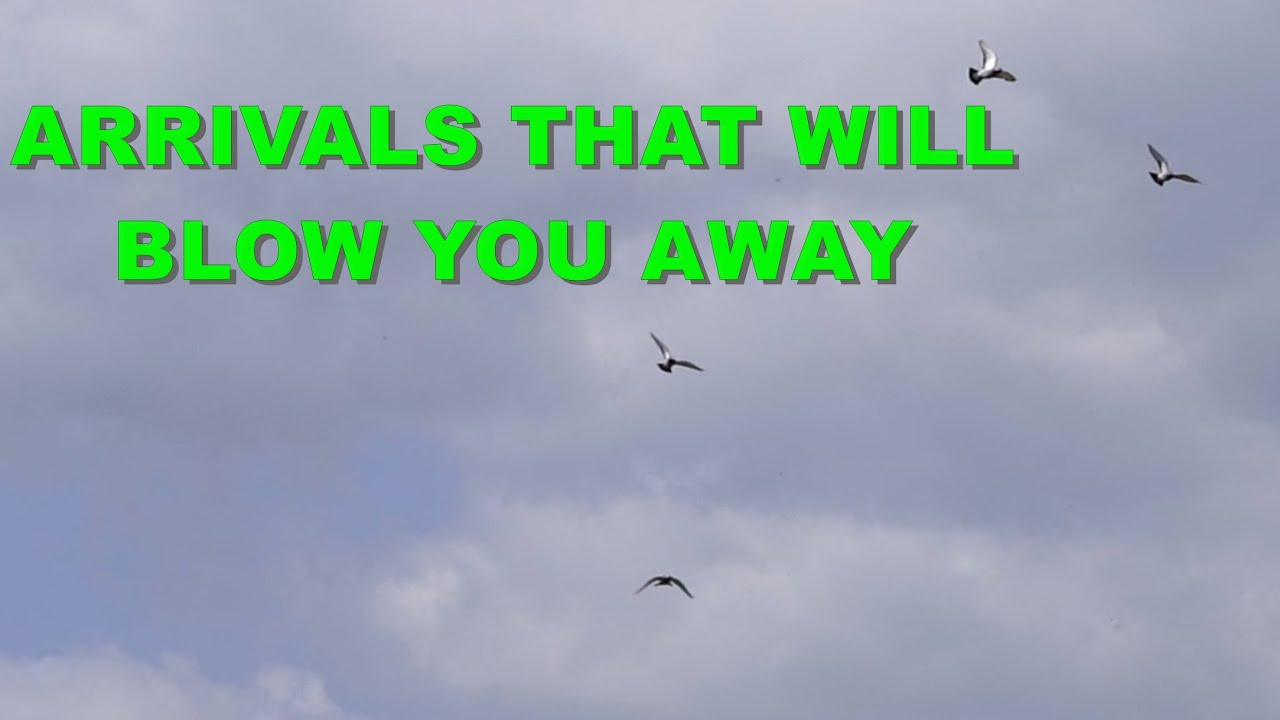 ARRIVALS THAT WILL BLOW YOU AWAY
