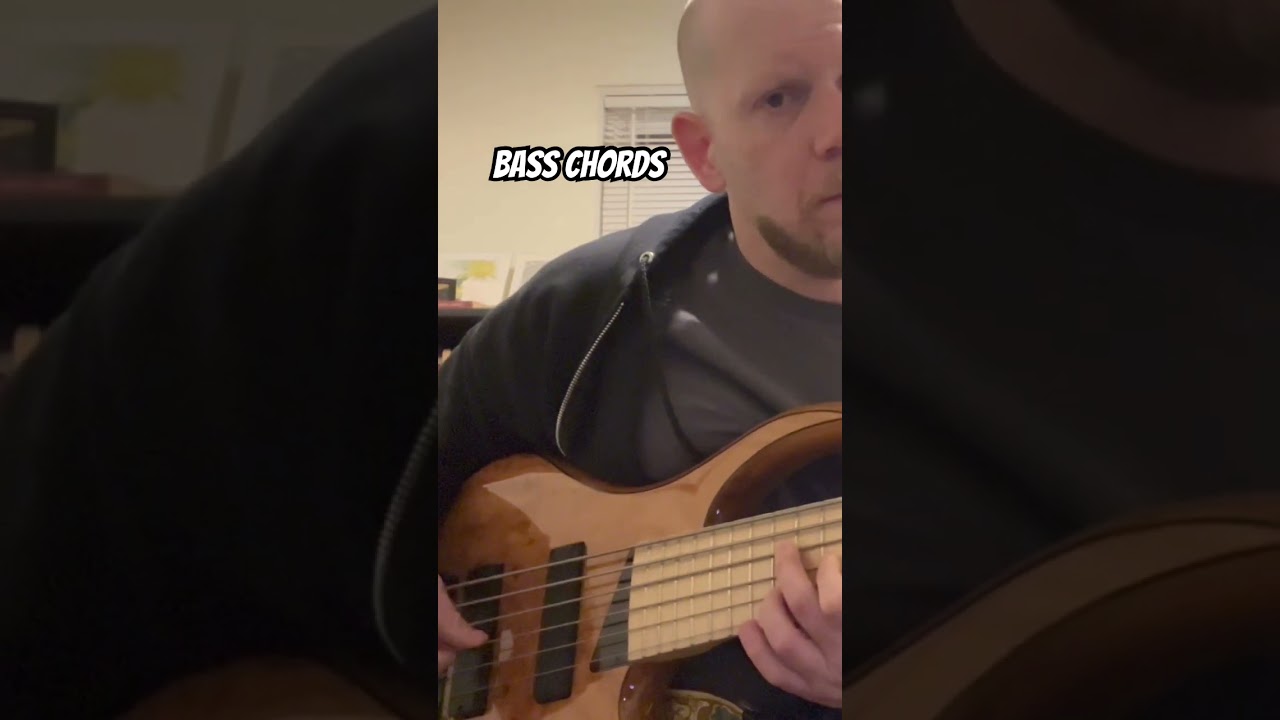 Bass Chords on my new MTD Kingston Z6 ⚡️ 