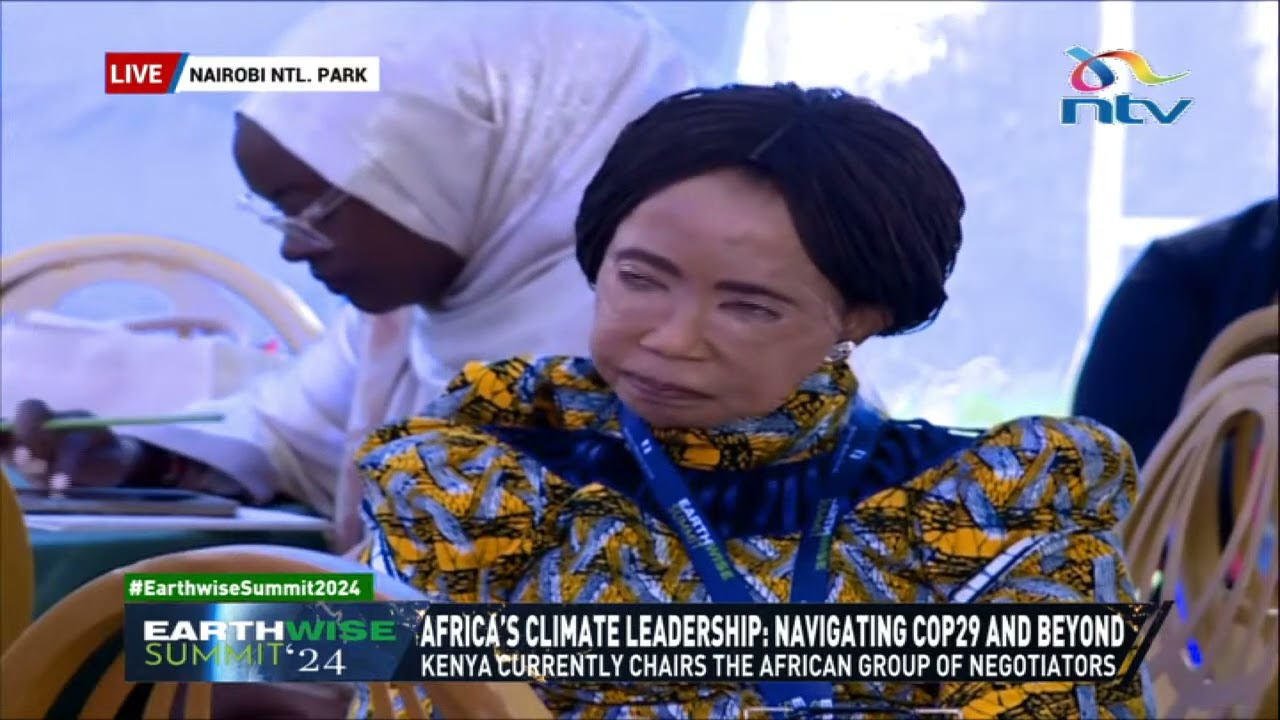 Ali Mohamed, Chair of the African Group of Negotiators full speech during #EarthwiseSummit2024