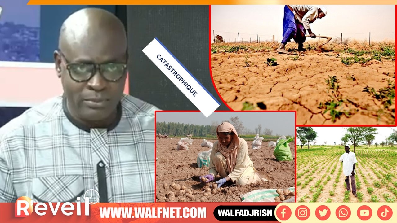 Campagne agricole catastrophique 