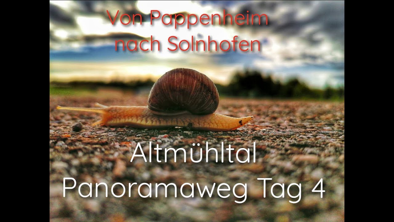 Altmühltal Panoramaweg Tag 4 von Pappenheim nach Solnhofen