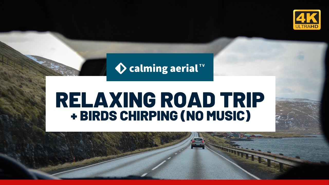 40 MINUTES RELAXING ROAD DRIVE 🚗 with Bird Chirping (No Music) | Calming Aerial TV