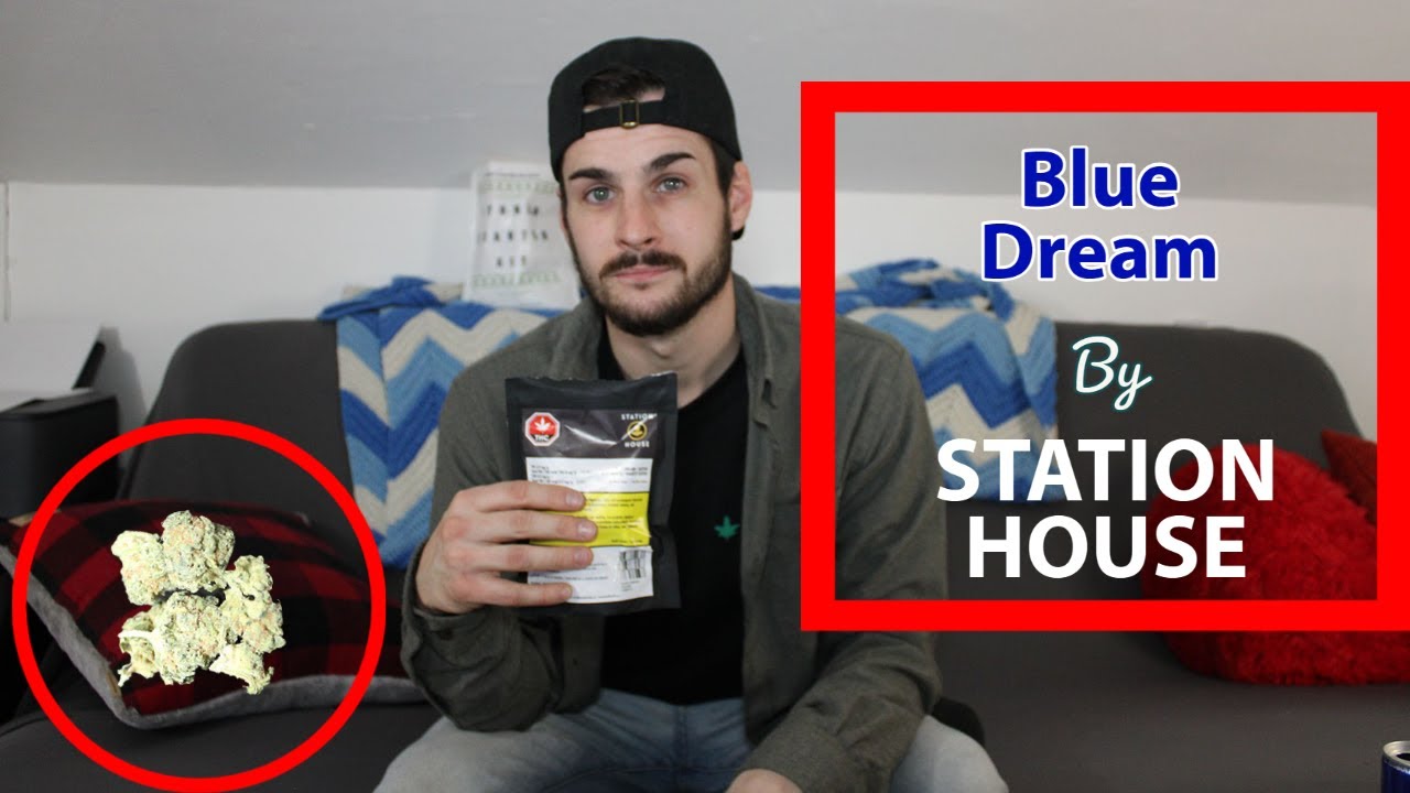 Weed Review #14: 'BLUE DREAM' by Station House