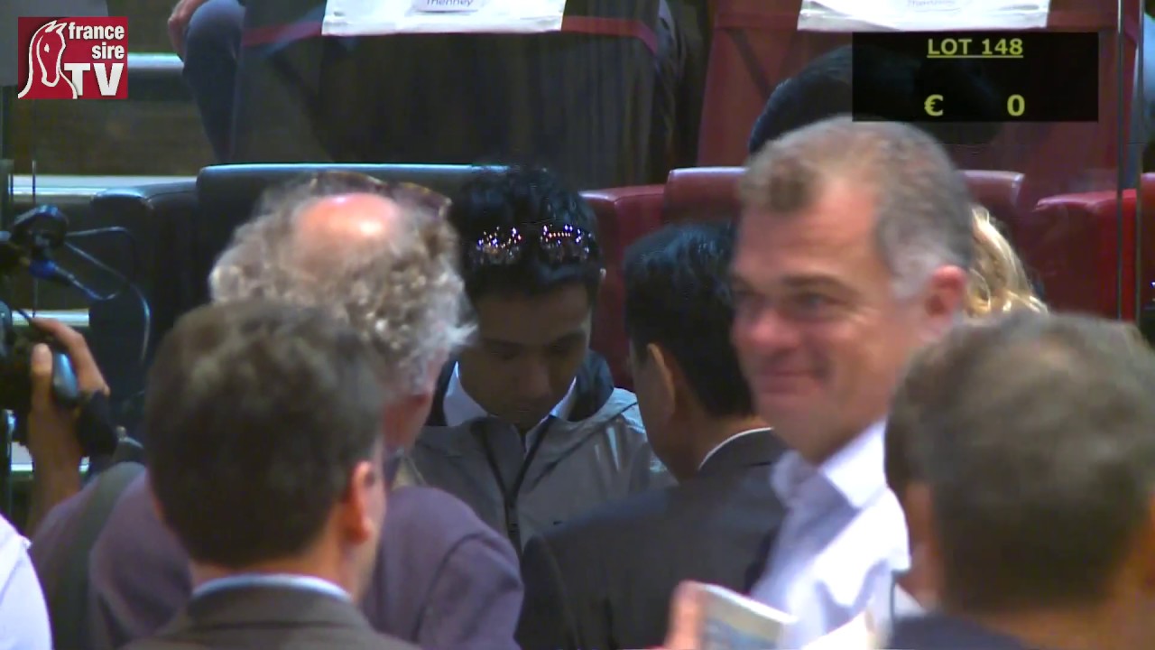 Top Price J2 - 1 625 000E - N (PRUDENZIA 2018) - F18 - Arqana August Yearlings Sale 2019