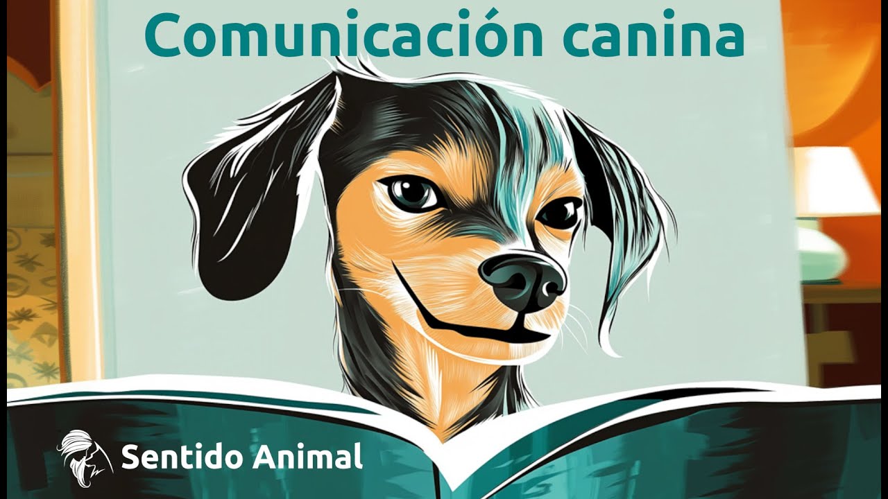 Comunicaci&oacute;n Canina: entiende a tu perra f&aacute;cilmente