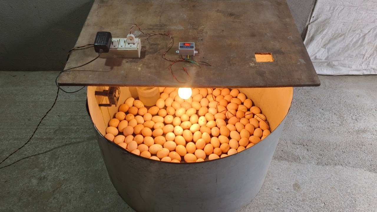 How to make Full Automatic Egg Incubator At home - Hatch 200 CHICKS