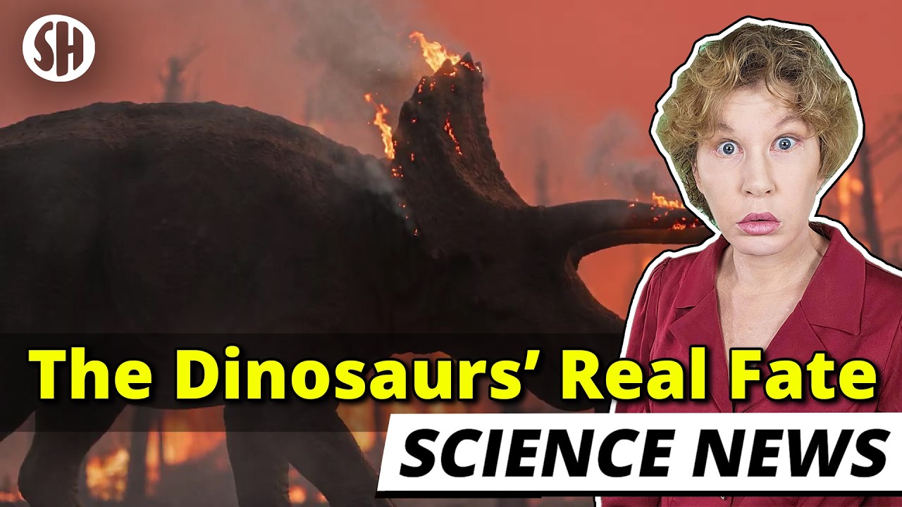 We Finally Know How the Dinosaurs Died. It Was Worse Than We Thought