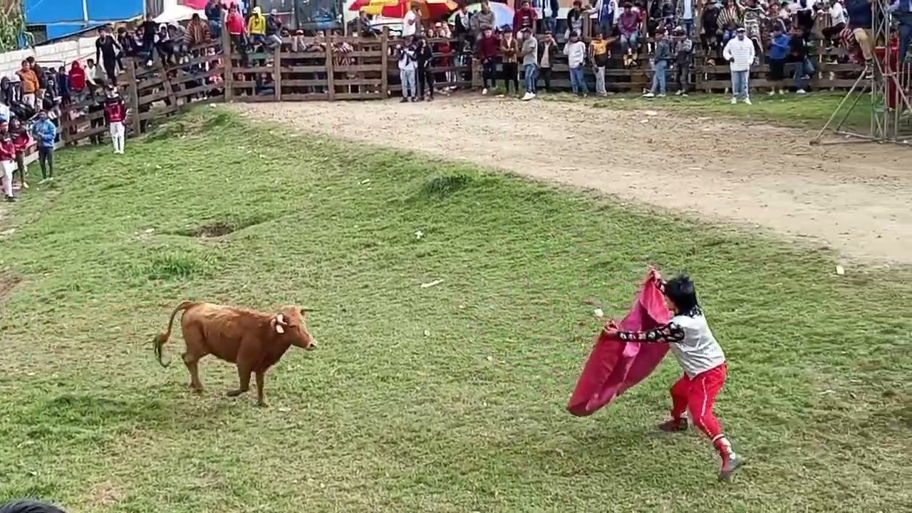 FIESTAS DE SAN PREDRO Y SAN PABLO ANGAMARCA 2025 🐎🐃🐂