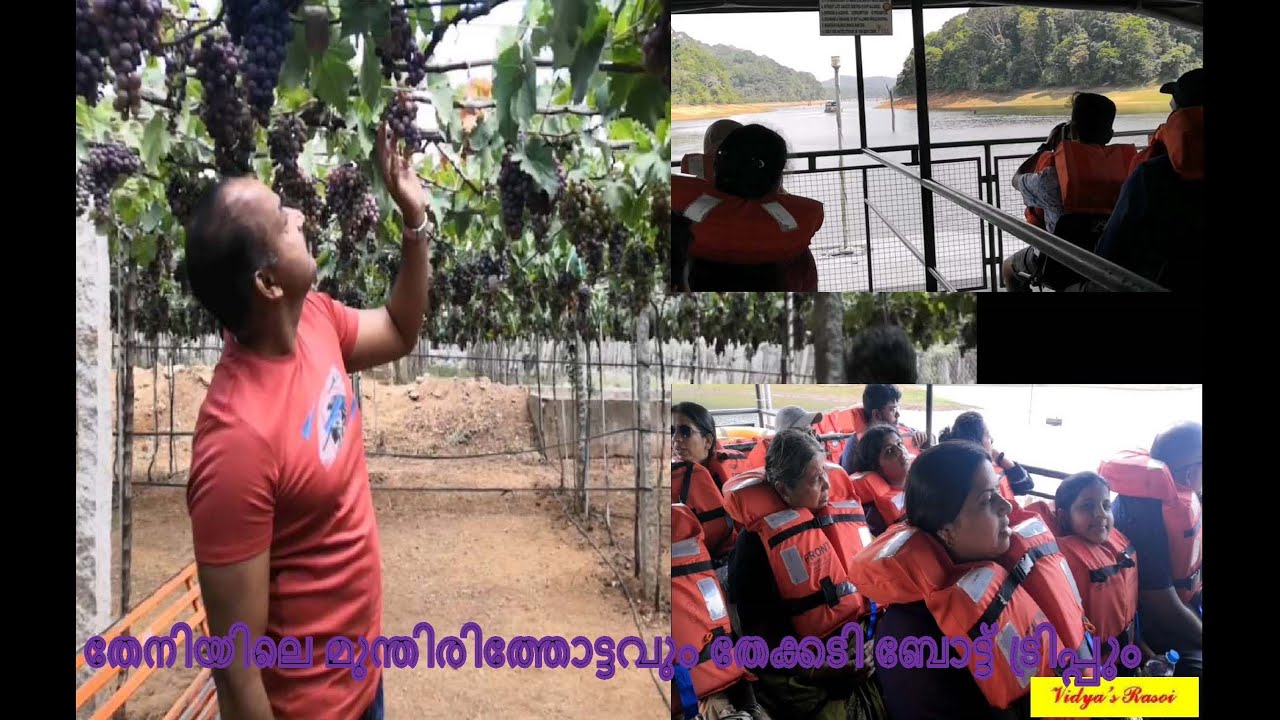 Trip to Grapes farm at Theni and Thekkady Boat trip, Periyar Tiger Reserve.