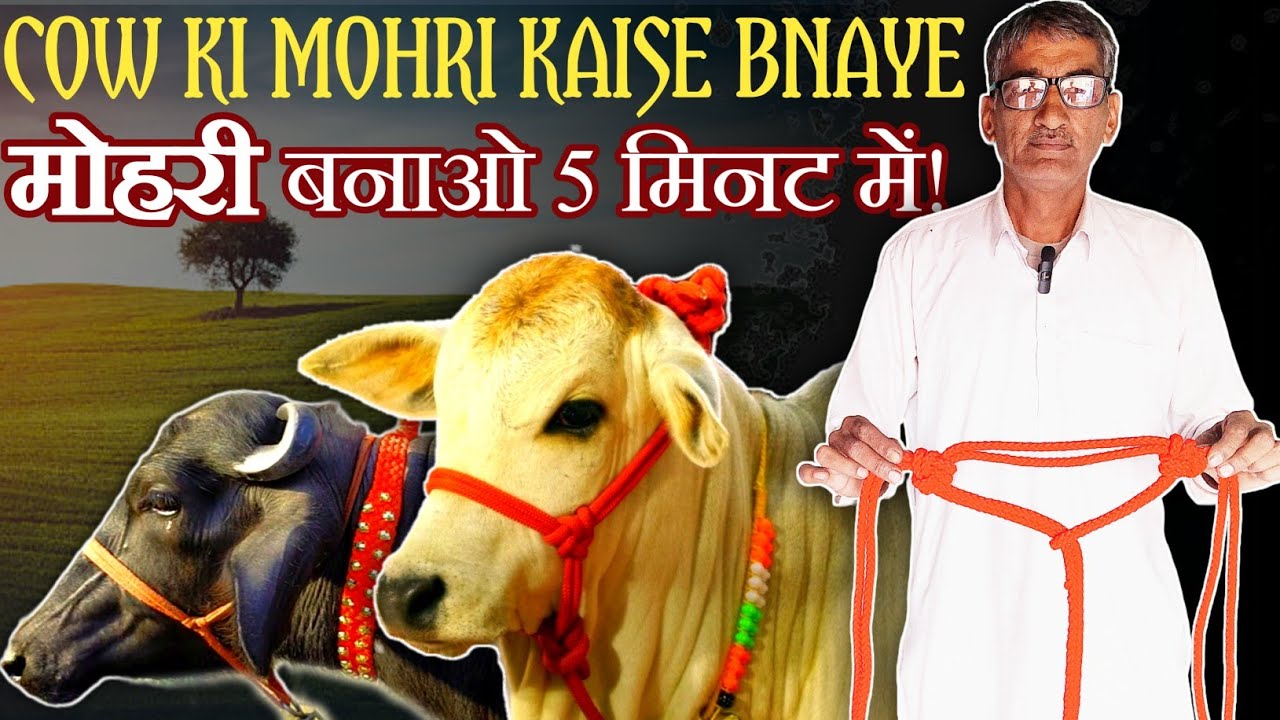 Pashuon ki Mohri Banayein 5 Minute Mein | Desi Tarika 100% Result ! Part-162