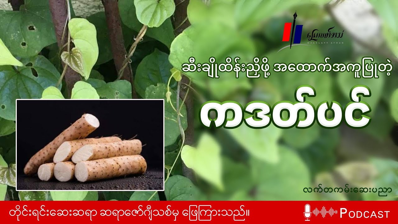 “ဆီးချိုထိန်းညှိဖို့ အထောက်အကူပြုတဲ့ ကဒတ်ပင်” (Podcast)