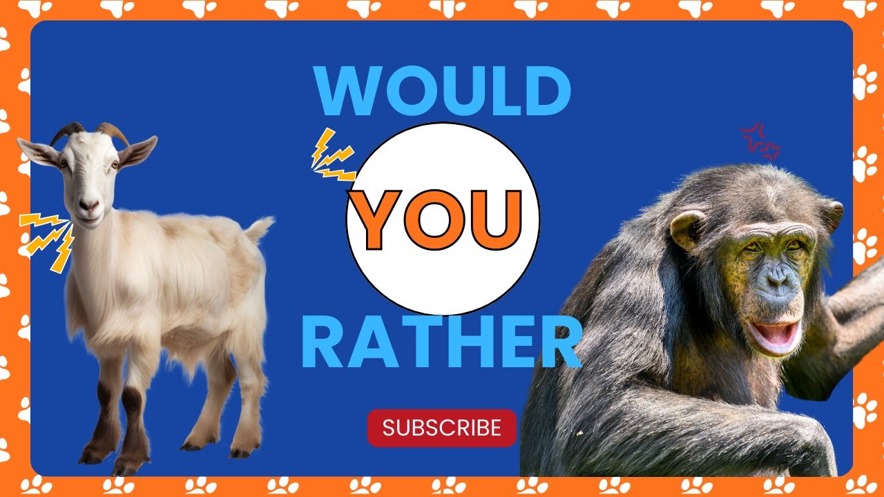 Would You Rather Animal Edition - Play Along Quiz