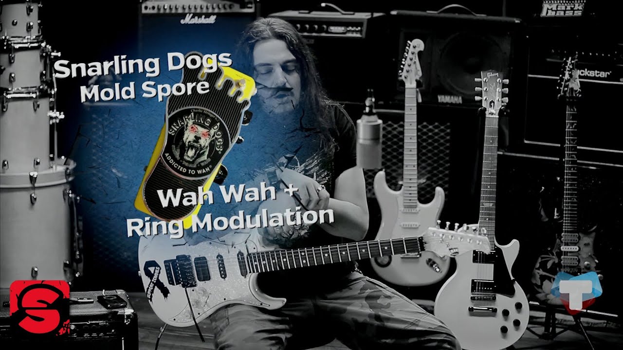 Setup on Fire #14 - Snarling Dogs Mold Spore Wah